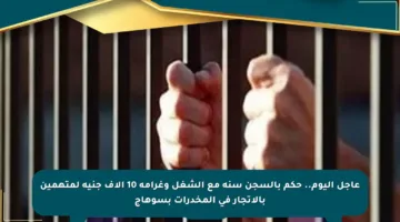 عاجل اليوم.. حكم بالسجن سنة مع الشغل وغرامة 10 آلاف جنيه لمتهمين بالاتجار في المخدرات بسوهاج